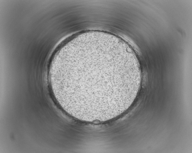 X0000114390976200911271455