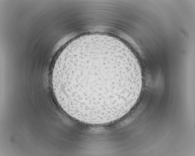 X0000114390978200911271455