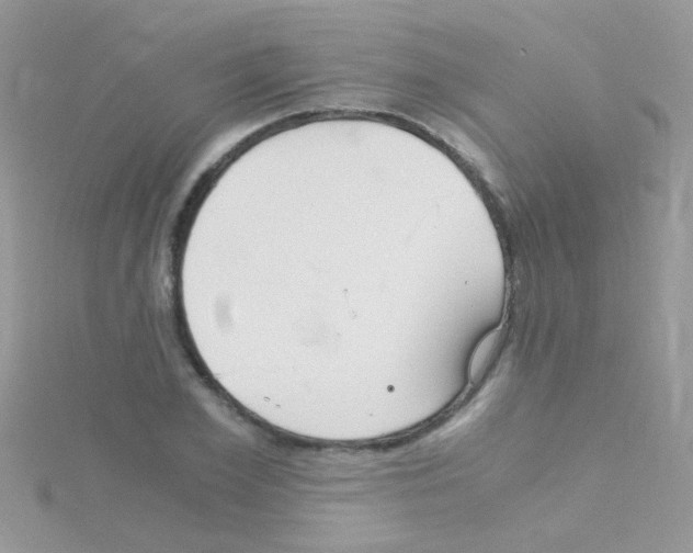 X0000114390981200911271455