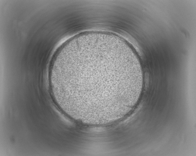 X0000114390982200911271455