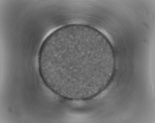 X0000114390983200911271455