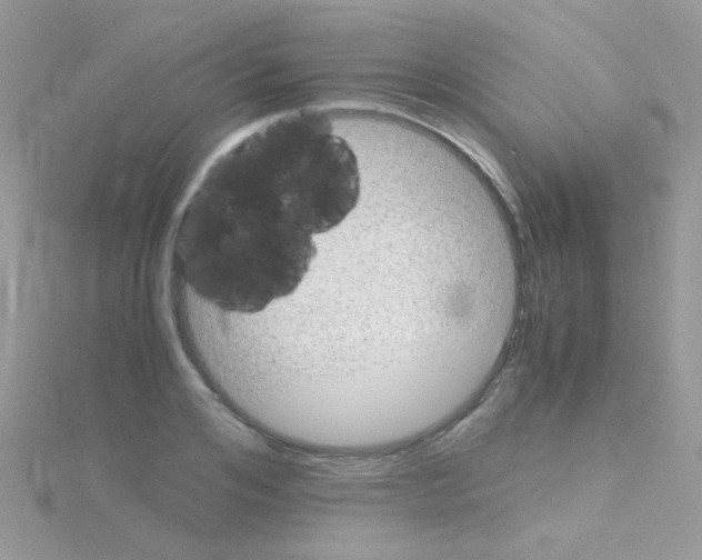 X0000114390984200911271455