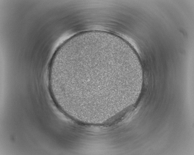 X0000114390987200911271455