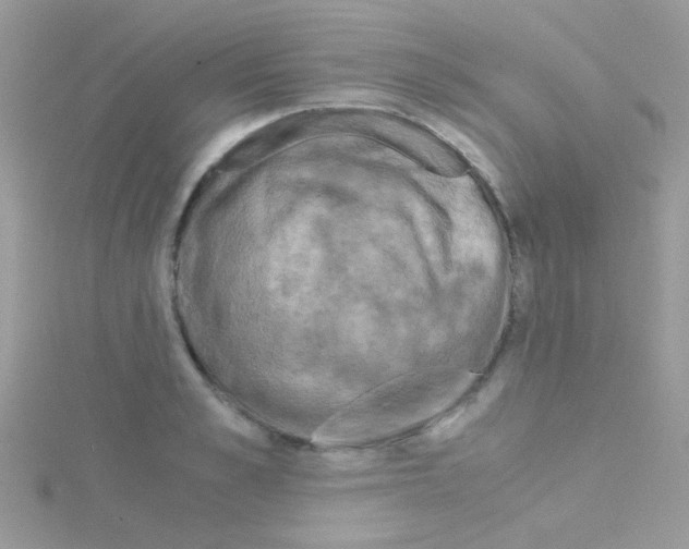 X0000114390989200911271455