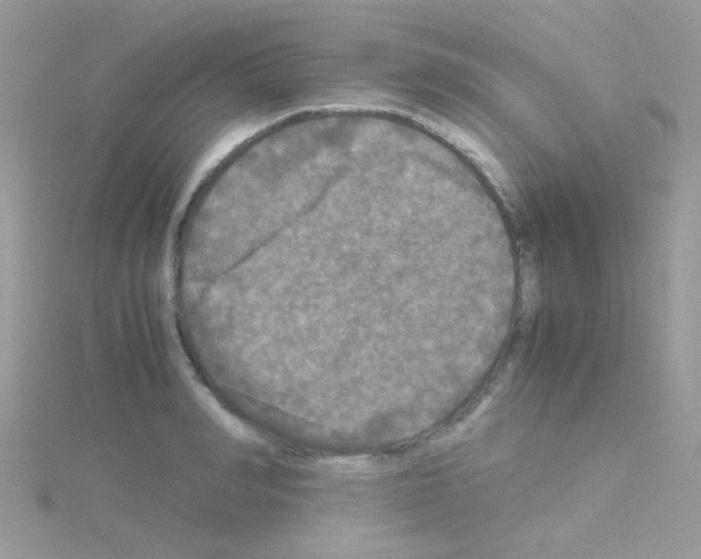 X0000114390990200911271455