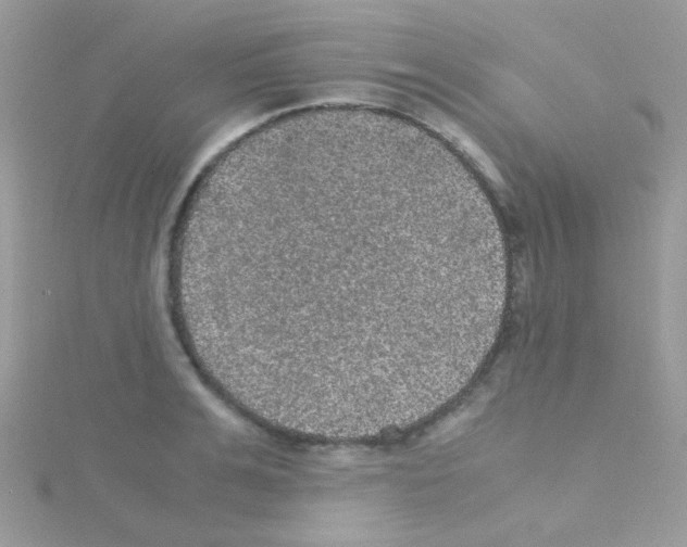 X0000114390991200911271455