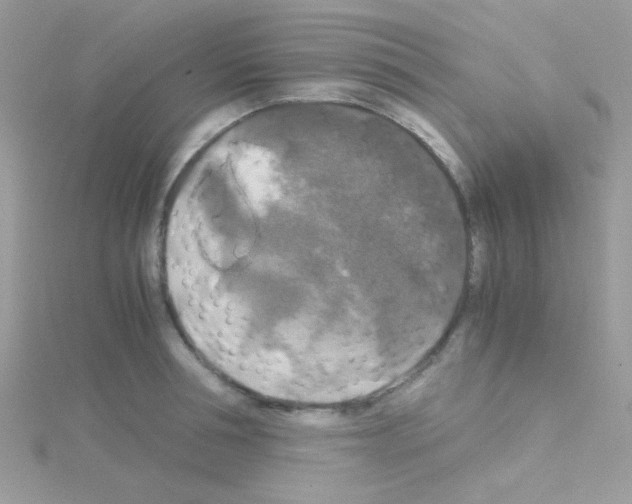 X0000114390994200911271455