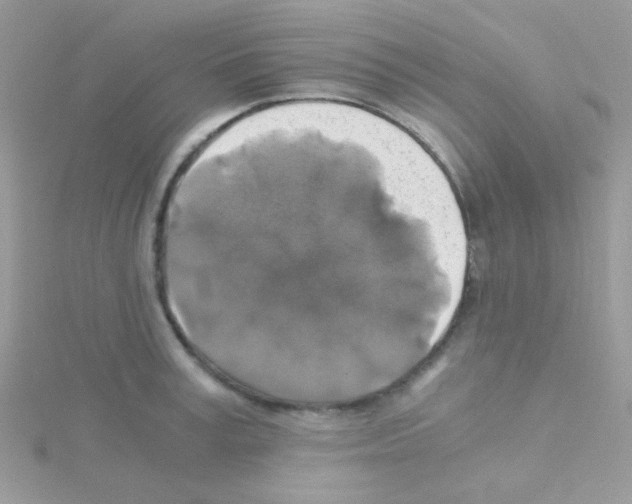 X0000114390995200911271455