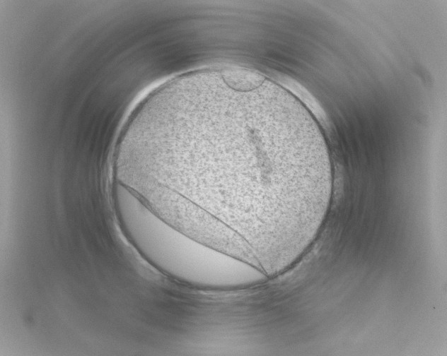 X0000114390996200911271455