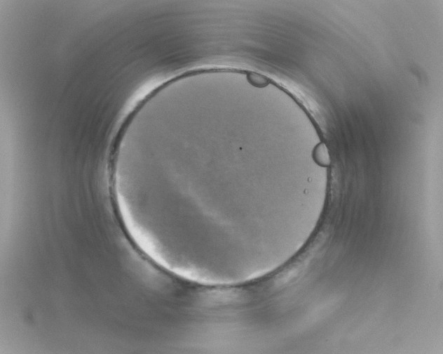 X0000114390998200911271455