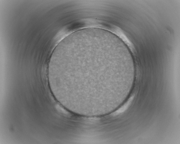 X0000114391001200911271455