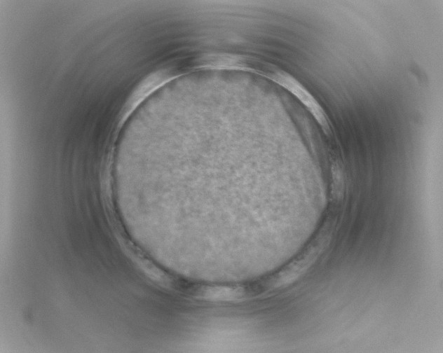 X0000114391002200911271455