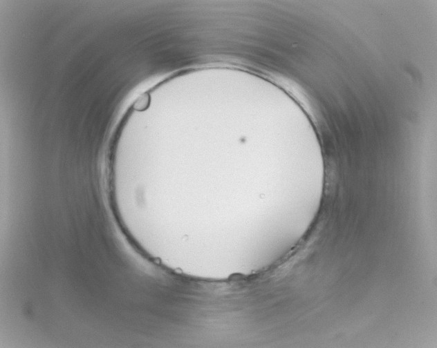 X0000114391003200911271455