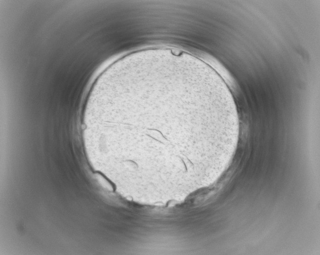 X0000114391004200911271455