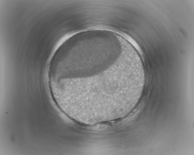 X0000114391005200911271455