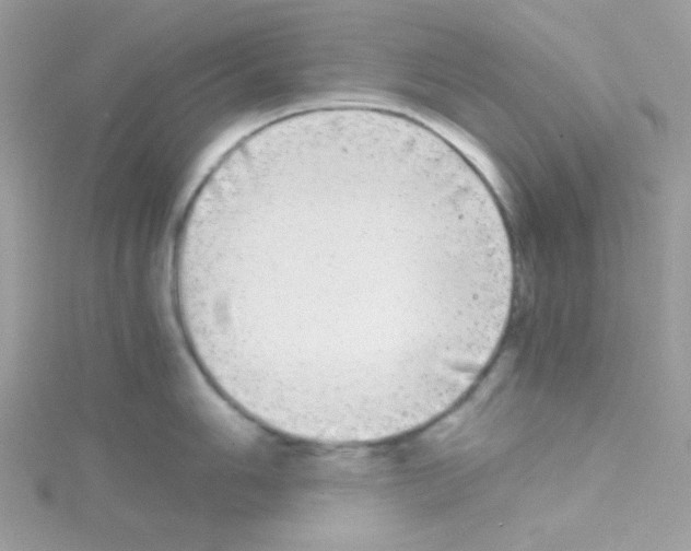 X0000114391006200911271455