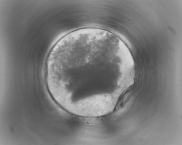 X0000114391007200911271455