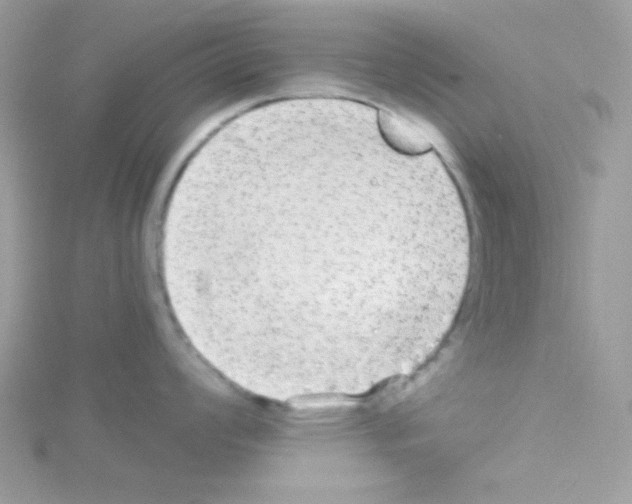 X0000114391008200911271455