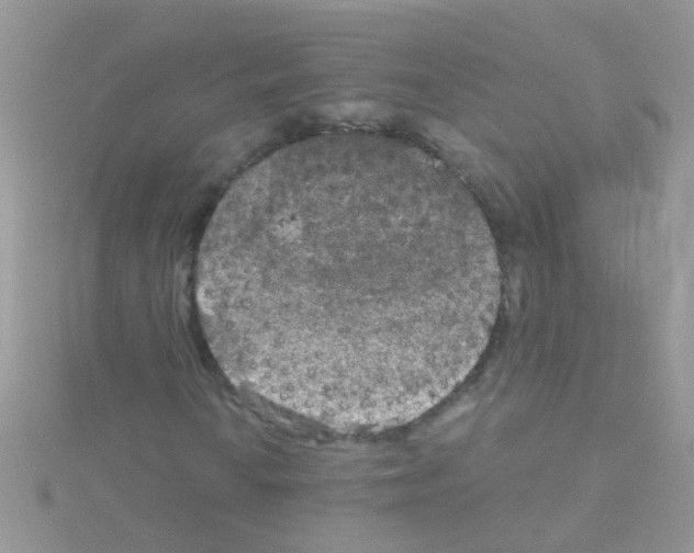 X0000114391010200911271454