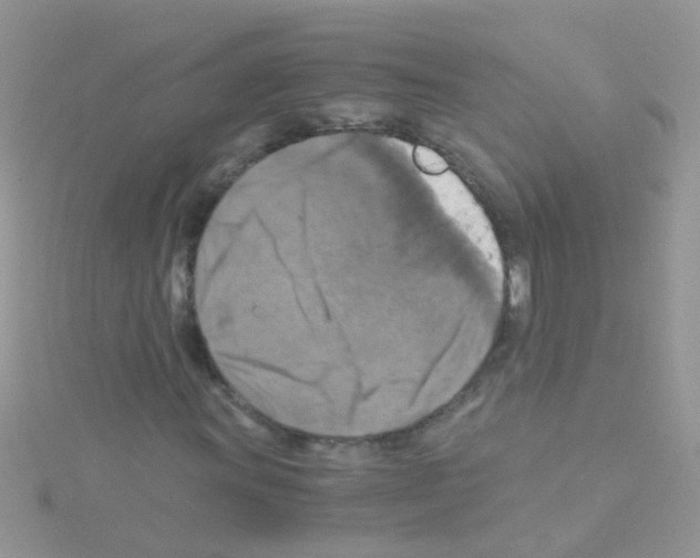 X0000114391011200911271454