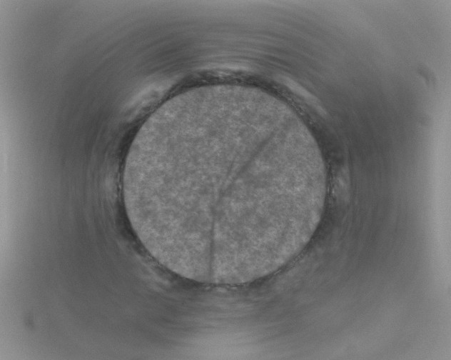 X0000114391014200911271454