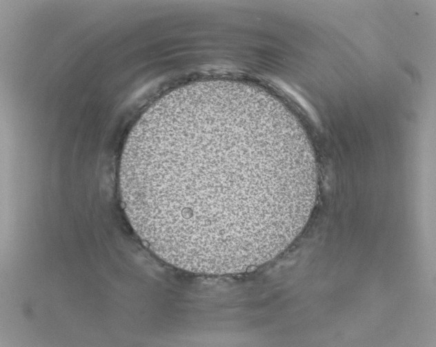 X0000114391015200911271454