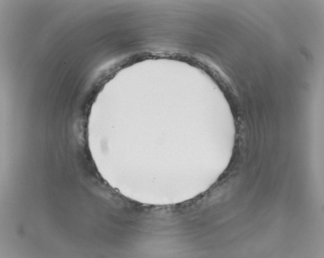 X0000114391016200911271454