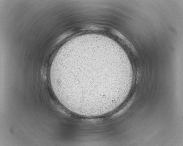 X0000114391017200911271454