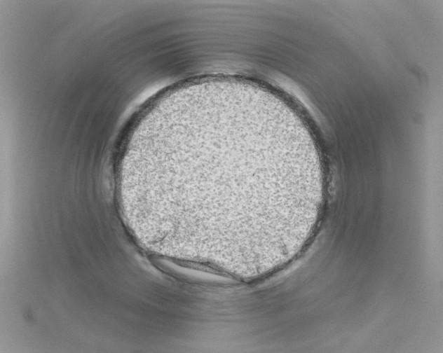 X0000114391018200911271454