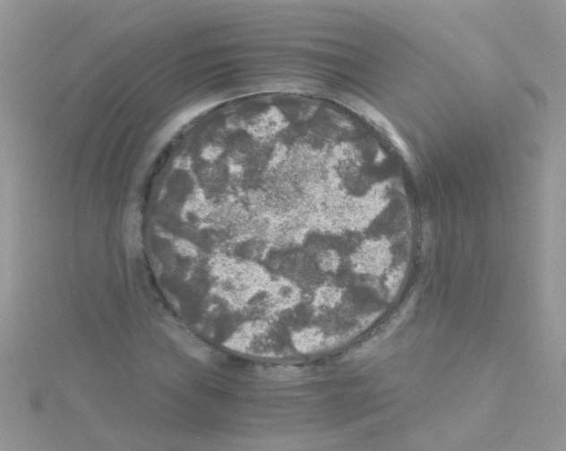 X0000114391019200911271454