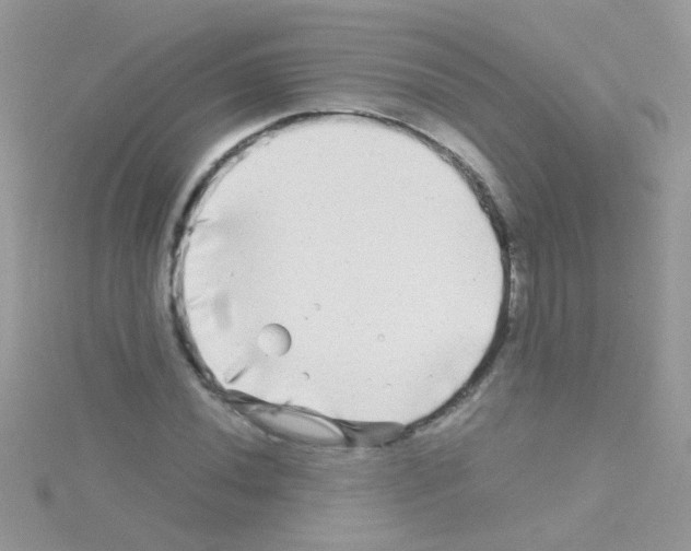 X0000114391020200911271454