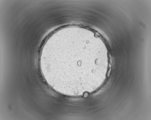 X0000114391021200911271454