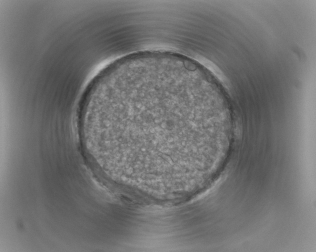 X0000114391022200911271454