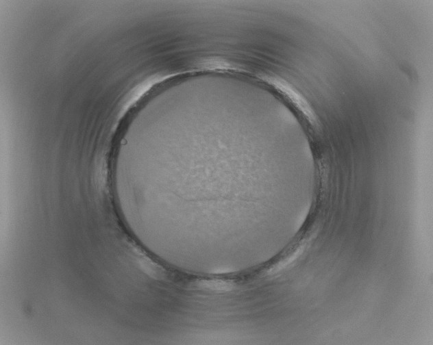 X0000114391023200911271454