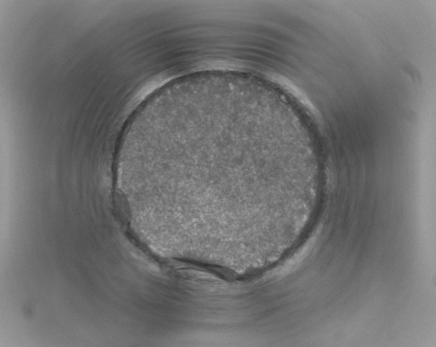 X0000114391025200911271454