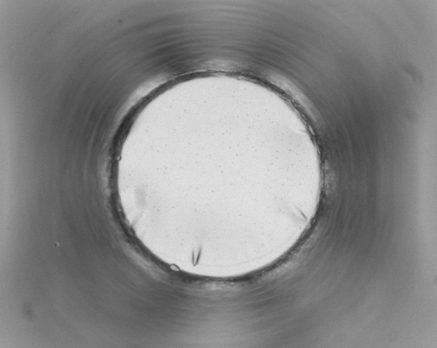 X0000114391026200911271454