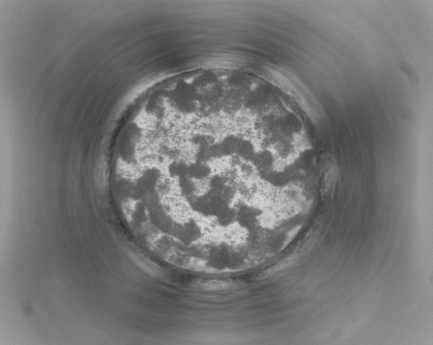 X0000114391027200911271454