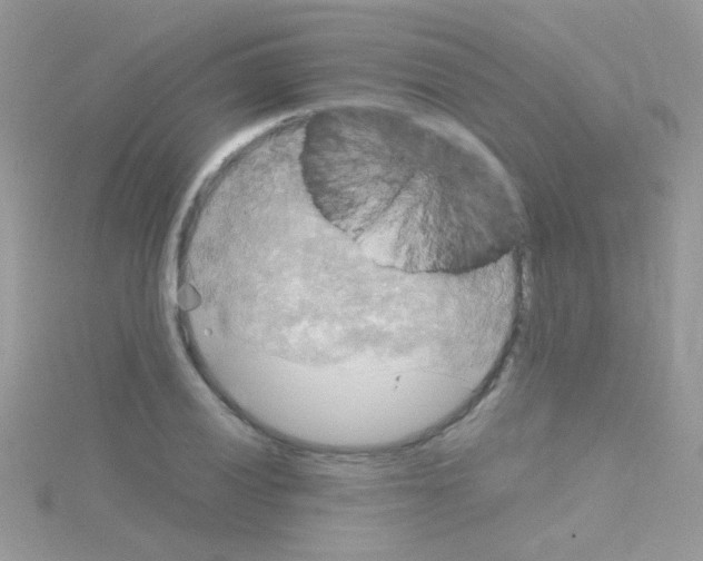 X0000114391028200911271454