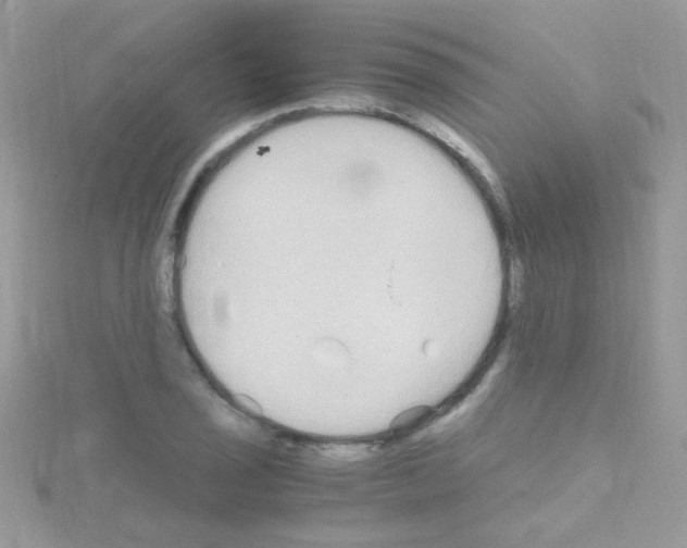 X0000114391029200911271454