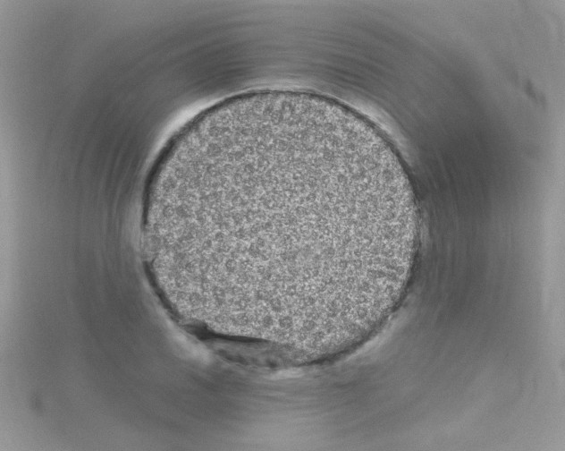 X0000114391030200911271454