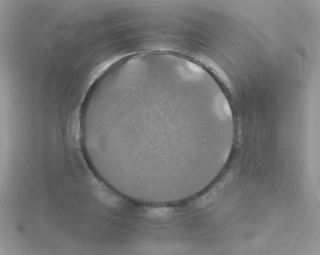 X0000114391031200911271454