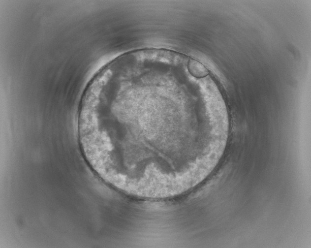 X0000114391032200911271454