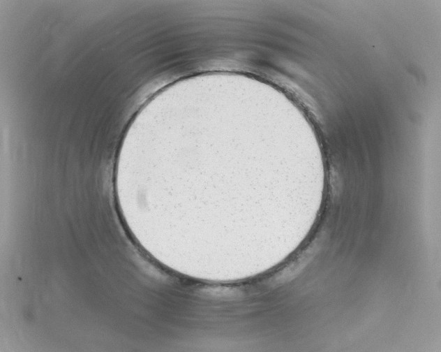 X0000114391033200911271454