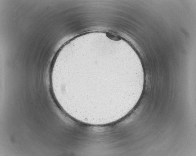 X0000114391034200911271454