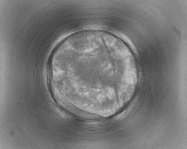 X0000114391035200911271454