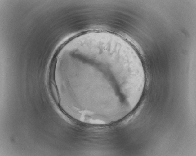 X0000114391037200911271454