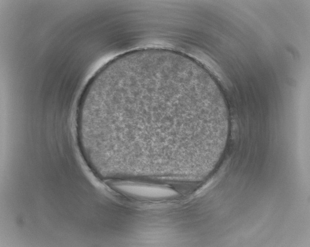 X0000114391038200911271454