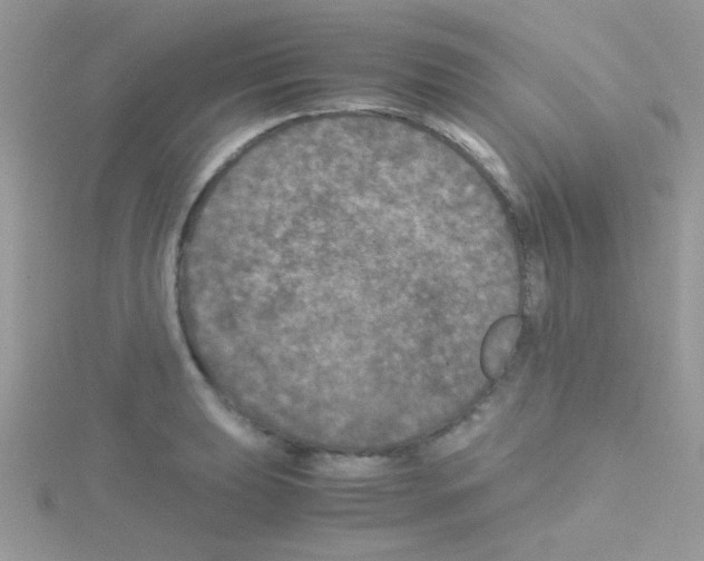 X0000114391039200911271454