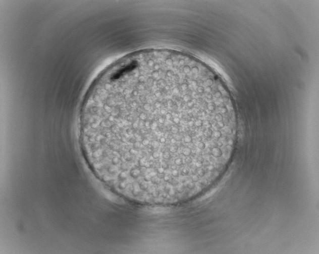 X0000114391040200911271454