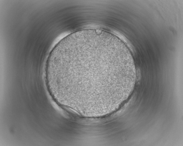 X0000114391042200911271454